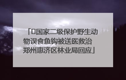 ﻿国家二级保护野生动物误食鱼钩被送医救治 郑州惠济区林业局回应