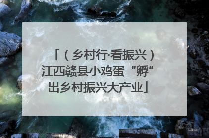 （乡村行·看振兴）江西赣县小鸡蛋“孵”出乡村振兴大产业