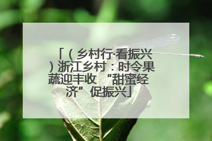 （乡村行·看振兴）浙江乡村：时令果蔬迎丰收 “甜蜜经济”促振兴