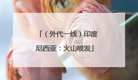 （外代一线）印度尼西亚：火山喷发