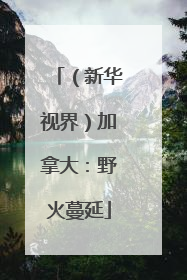 （新华视界）加拿大：野火蔓延