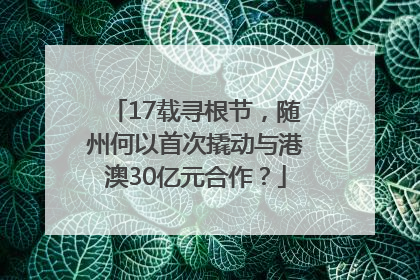 17载寻根节，随州何以首次撬动与港澳30亿元合作？