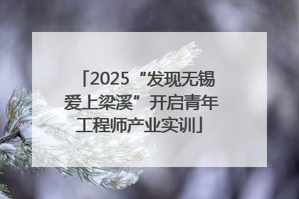 2025“发现无锡 爱上梁溪”开启青年工程师产业实训