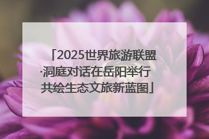 2025世界旅游联盟·洞庭对话在岳阳举行 共绘生态文旅新蓝图