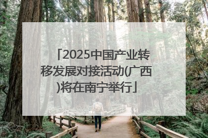 2025中国产业转移发展对接活动(广西)将在南宁举行