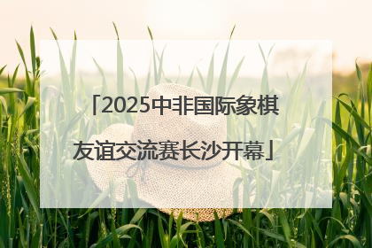 2025中非国际象棋友谊交流赛长沙开幕