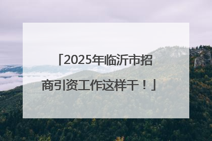 2025年临沂市招商引资工作这样干！