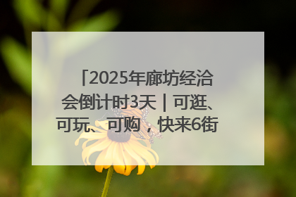 2025年廊坊经洽会倒计时3天｜可逛、可玩、可购，快来6街16巷逛市集