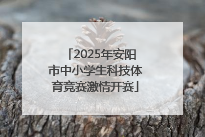 2025年安阳市中小学生科技体育竞赛激情开赛
