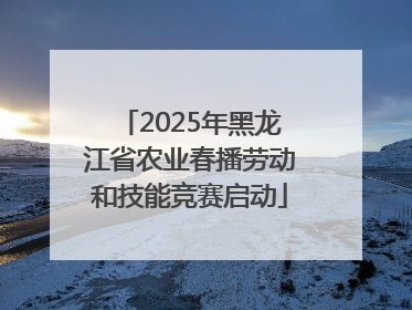 2025年黑龙江省农业春播劳动和技能竞赛启动