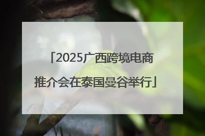 2025广西跨境电商推介会在泰国曼谷举行
