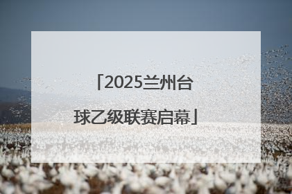 2025兰州台球乙级联赛启幕