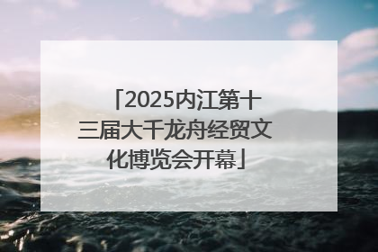 2025内江第十三届大千龙舟经贸文化博览会开幕
