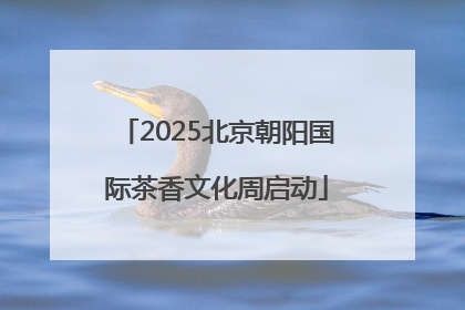 2025北京朝阳国际茶香文化周启动