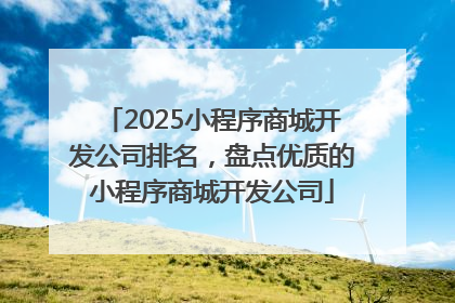2025小程序商城开发公司排名，盘点优质的小程序商城开发公司