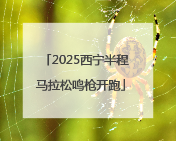 2025西宁半程马拉松鸣枪开跑