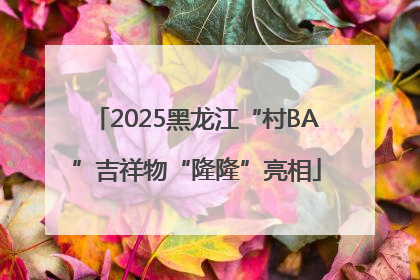 2025黑龙江“村BA”吉祥物“隆隆”亮相