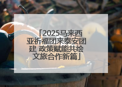 2025马来西亚祈福团来泰安团建 政策赋能共绘文旅合作新篇