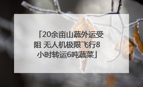 20余亩山蔬外运受阻 无人机极限飞行8小时转运6吨蔬菜