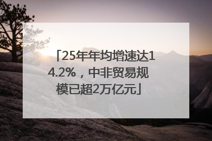 25年年均增速达14.2%，中非贸易规模已超2万亿元