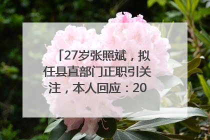 27岁张照斌，拟任县直部门正职引关注，本人回应：2019年选调生，此前负责公文相关工作