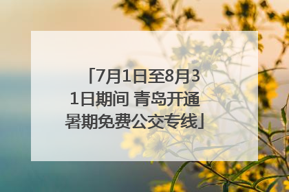 7月1日至8月31日期间 青岛开通暑期免费公交专线