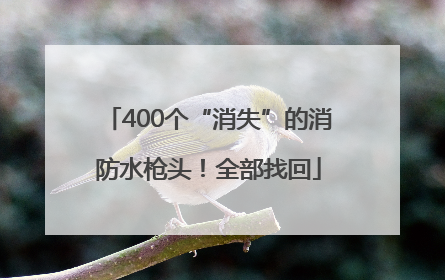 400个“消失”的消防水枪头！全部找回