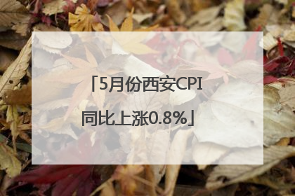 5月份西安CPI同比上涨0.8%