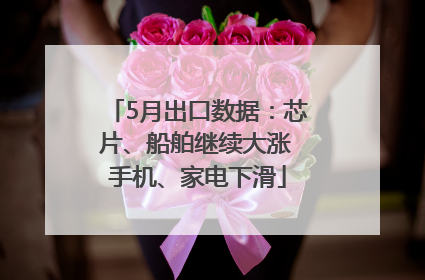 5月出口数据：芯片、船舶继续大涨 手机、家电下滑