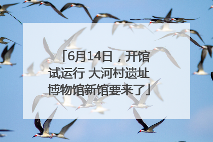 6月14日，开馆试运行 大河村遗址博物馆新馆要来了