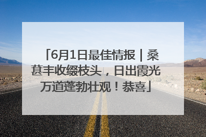 6月1日最佳情报｜桑葚丰收缀枝头，日出霞光万道蓬勃壮观！恭喜