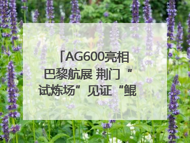 AG600亮相巴黎航展 荆门“试炼场”见证“鲲龙”腾飞