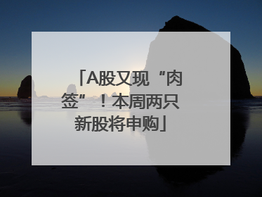 A股又现“肉签”！本周两只新股将申购