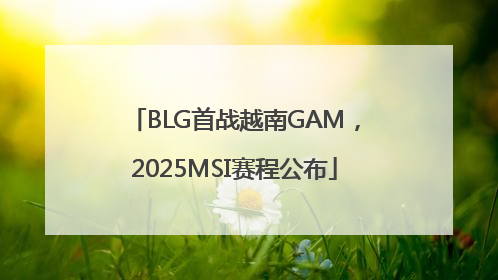 BLG首战越南GAM，2025MSI赛程公布