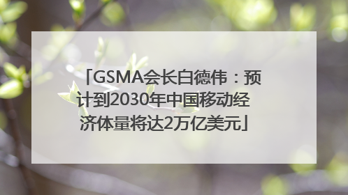 GSMA会长白德伟：预计到2030年中国移动经济体量将达2万亿美元