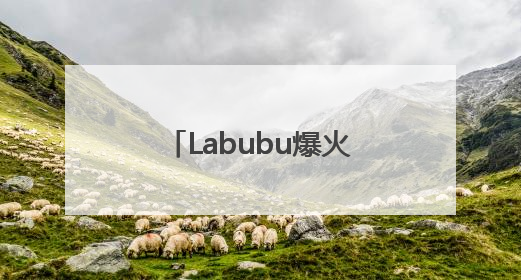 Labubu爆火，造就河南新首富