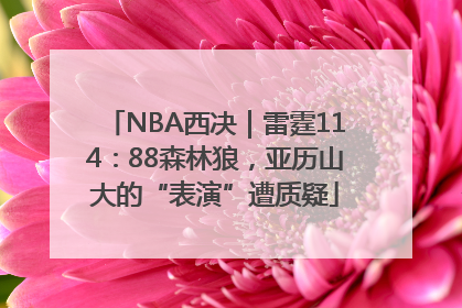 NBA西决｜雷霆114：88森林狼，亚历山大的“表演”遭质疑
