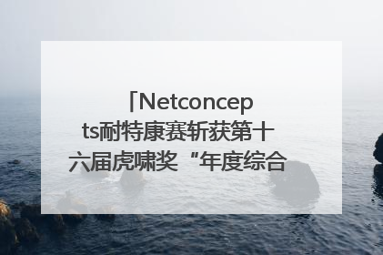 Netconcepts耐特康赛斩获第十六届虎啸奖“年度综合服务商”大奖